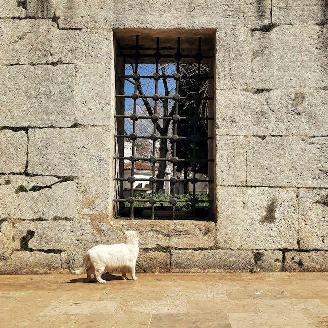 Recommendations for Building Owners to Meet and Exceed Safety Regulations
