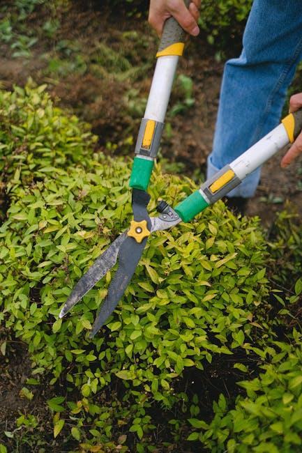 Seasonal Locksmith Maintenance Essentials for Every Home
