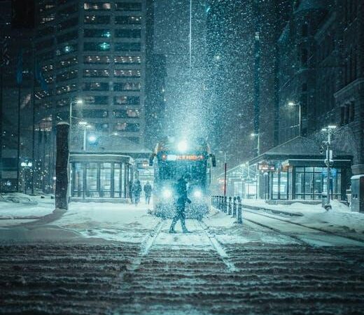 Best Deadbolts for Minnesota Winters in 2025