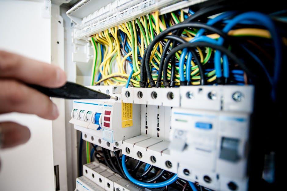 Exploring the Costs and Time Involved in Both Services