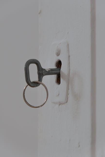 How Snowstorms Impact Lock Mechanisms and Door Accessibility
