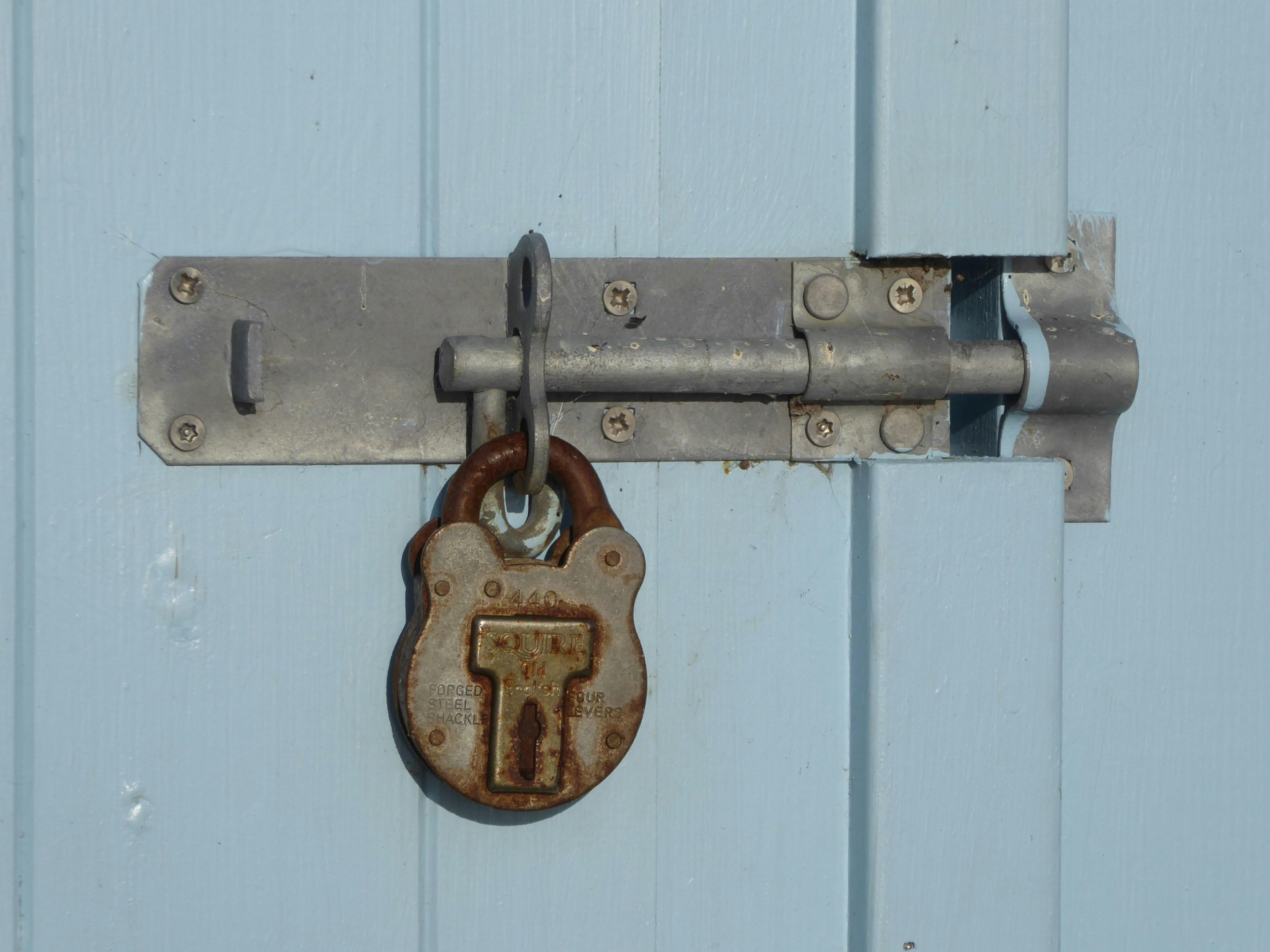 Maximizing Security on a Budget with LockChampions' Tailored Solutions
