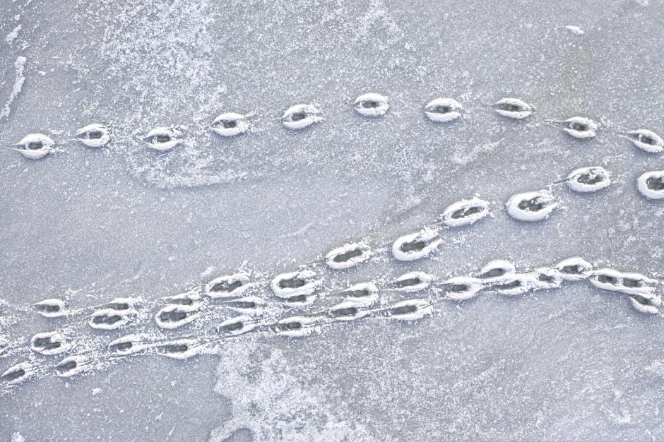 Installation Tips for Optimal Performance in Harsh Winter Conditions